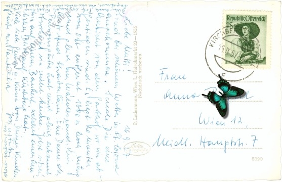 st. corona am wechsel, franz kager's alpengasthof, orthof