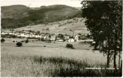 st. oswald, ortsansicht