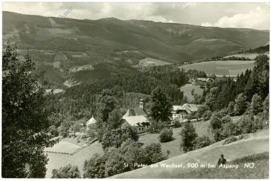 st. peter am wechsel, ortsansicht