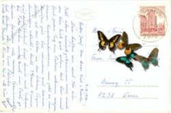 st. peter am wechsel, ortsansicht