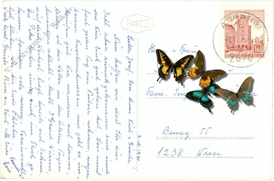 st. peter am wechsel, ortsansicht