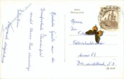 theresienfeld, landesberufschule des handels