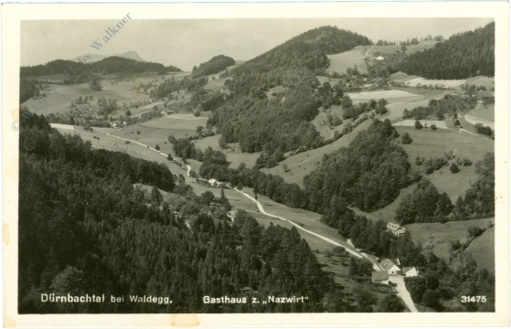 waldegg, dürnbachtal, gasthaus z. "nazwirt" waldegg, dürnbachtal, gasthaus z. "nazwirt"
