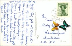 wang im kleinen erlaftal, multiansicht