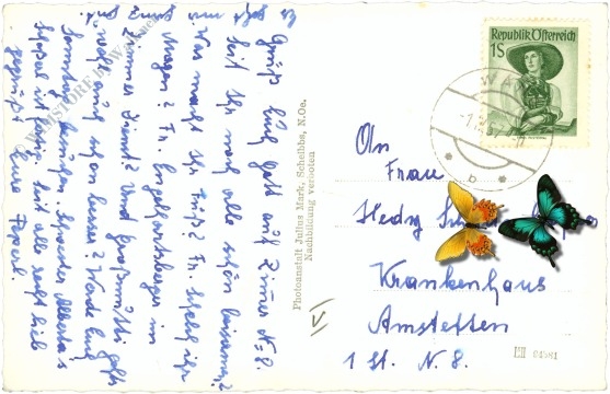 wang im kleinen erlaftal, multiansicht