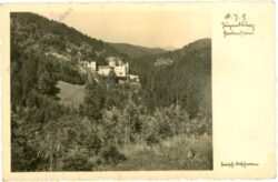 weinzierl am walde, jugendburg harlenstein