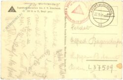 weinzierl am walde, jugendburg harlenstein