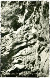 weissenbach an der triesting, steinwandlklamm, große leiter am r. decker steig