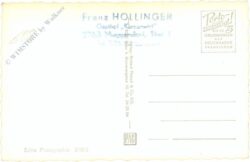 weissenbach an der triesting, steinwandlklamm, große leiter am r. decker steig