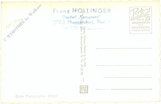 weissenbach an der triesting, steinwandlklamm, große leiter am r. decker steig