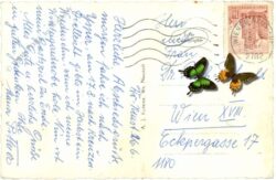 wiener neustadt, multiansicht