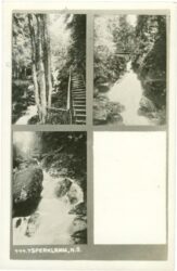 ysperklamm, multiansicht