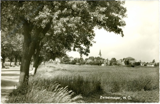 zeiselmauer, ortsansicht zeiselmauer, ortsansicht