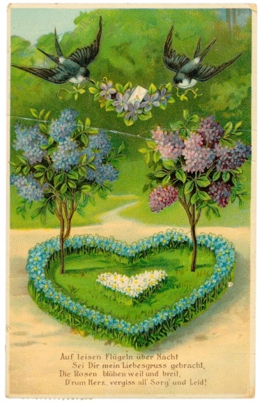 liebestauben