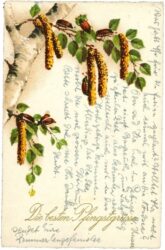 pfingsten birkenblüten