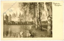 pfingsten am seeufer