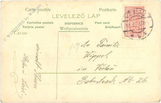 pfingsten mohn in vase