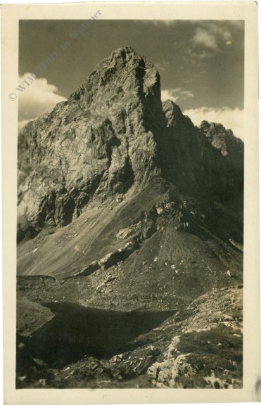 birnbaum, wolayersee mit seekopf birnbaum, wolayersee mit seekopf