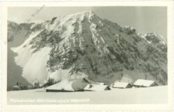 feistritz im rosental, matschacher alm mit weinasch