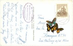 ferlach, tscheppaschlucht
