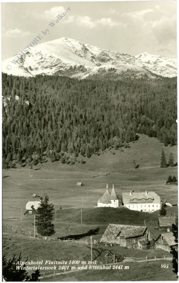 flattnitz, alpenhotel mit wintertalernock und eisenhut