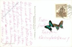 gatschach, mit techendorf am weissensee mit latschur