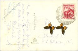 großglockner, ansicht