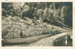kötschach mauthen, heldenfriedhof am plöcken