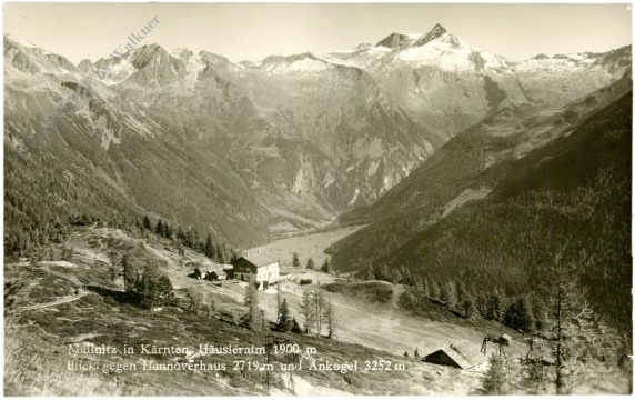 mallnitz, häusleralm, blick gegen hannoverhaus und ankogel