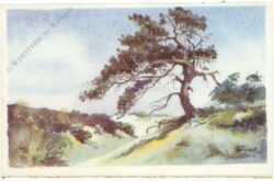 baum im gebirge