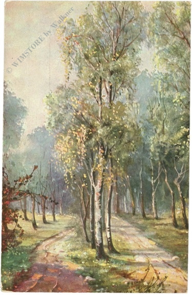waldweg
