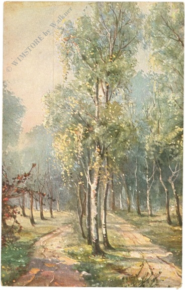 waldweg