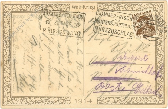strauß mit kornblumen