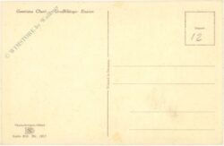 großblütiger enzian