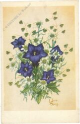 alpenblumen