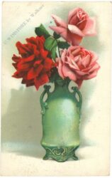 rosen in vase