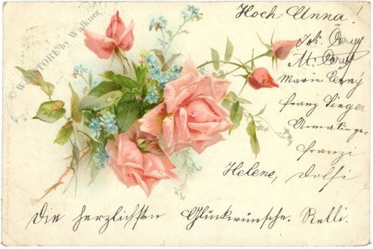 rosen und vergissmeinnicht
