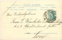 dame mit rosen und hummel