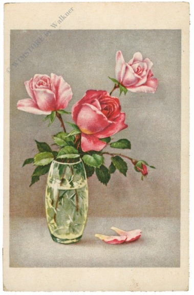 rosen in glas