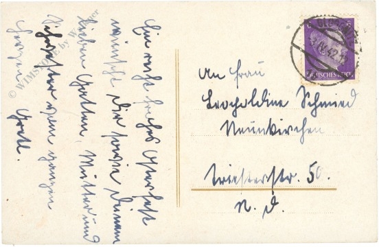 narzissen und anemonen