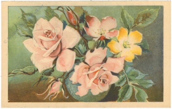 rosen