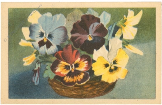 violen
