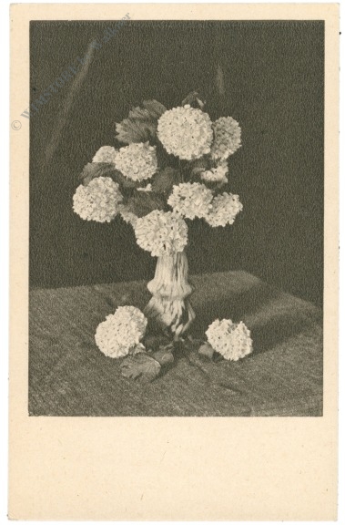 blumenvase
