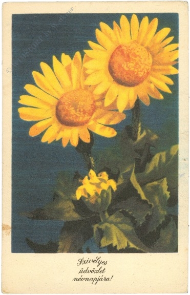 blumen in gelb