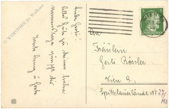 rosa nelken