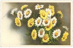 margeriten