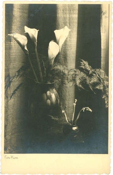 calla