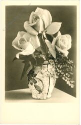 rosen in vase