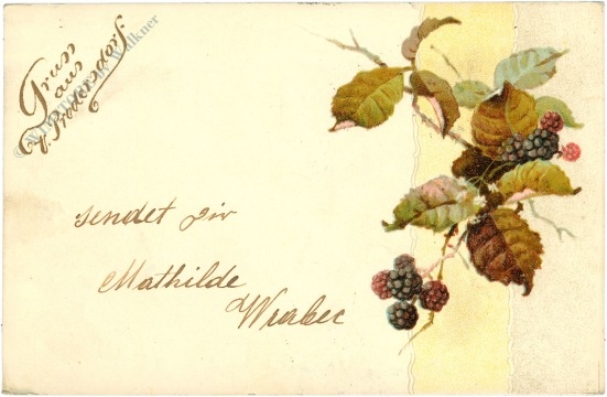 brombeeren