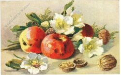 Äpfel und nüsse